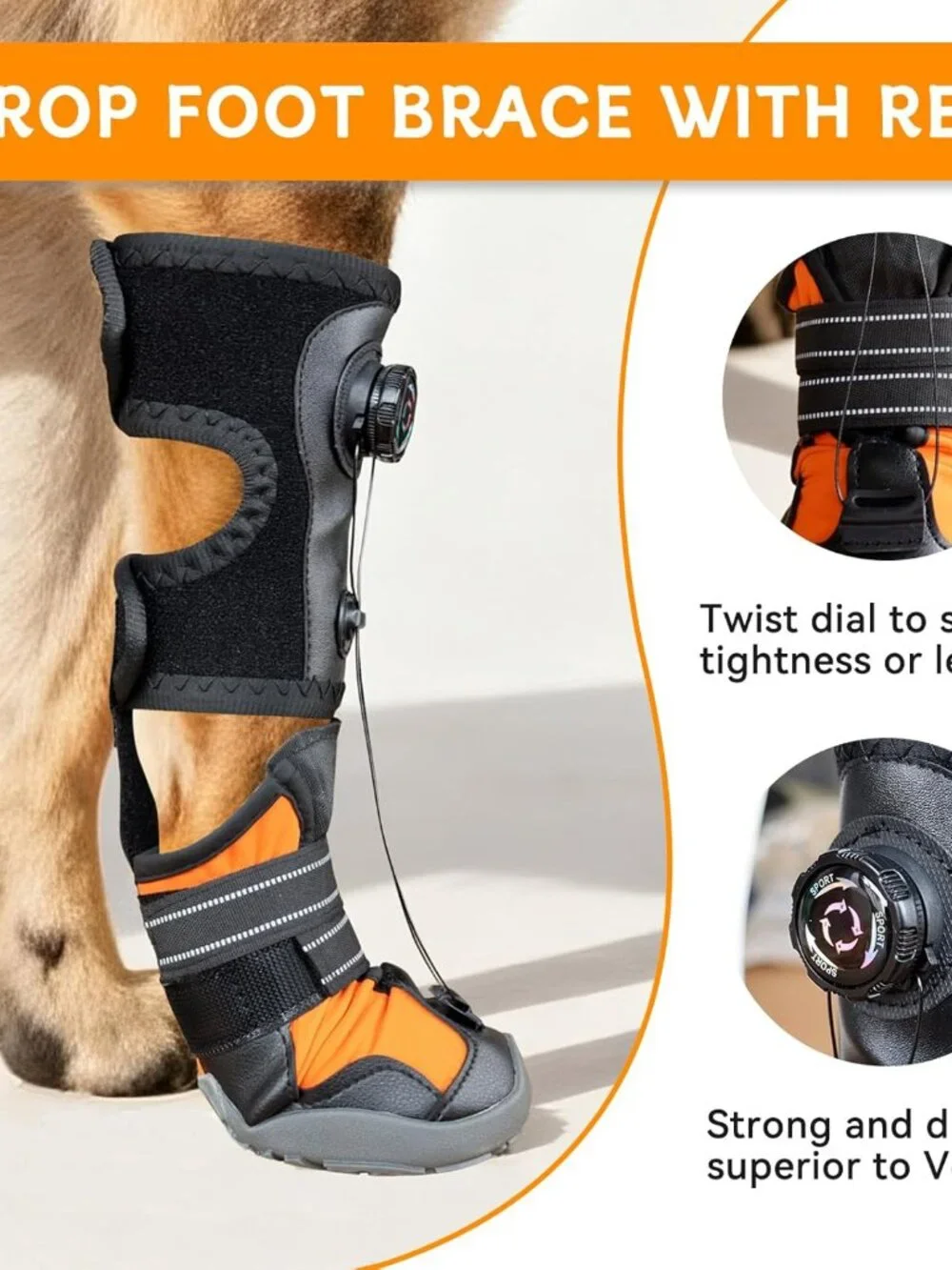 No Knuckling Brace for Dogs
